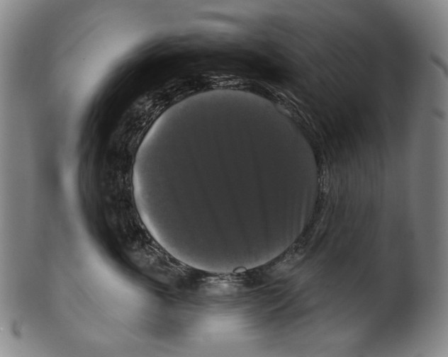 X0000099420763200806060955