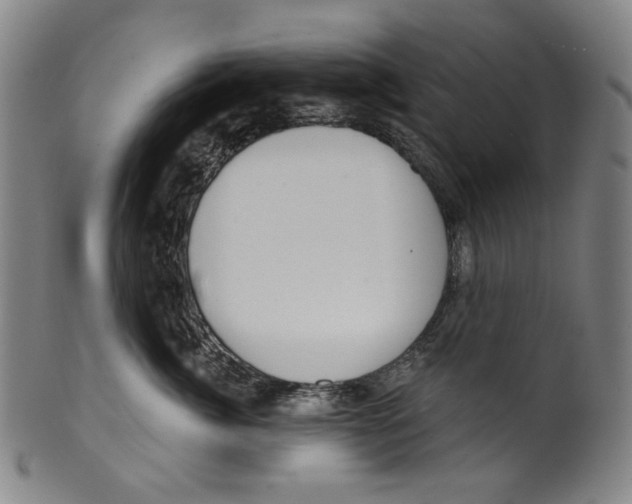 X0000099420764200806060955