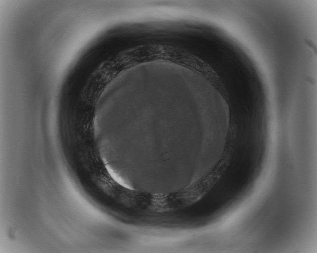 X0000099420766200806060955