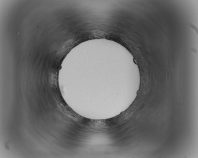 X0000099420768200806060955