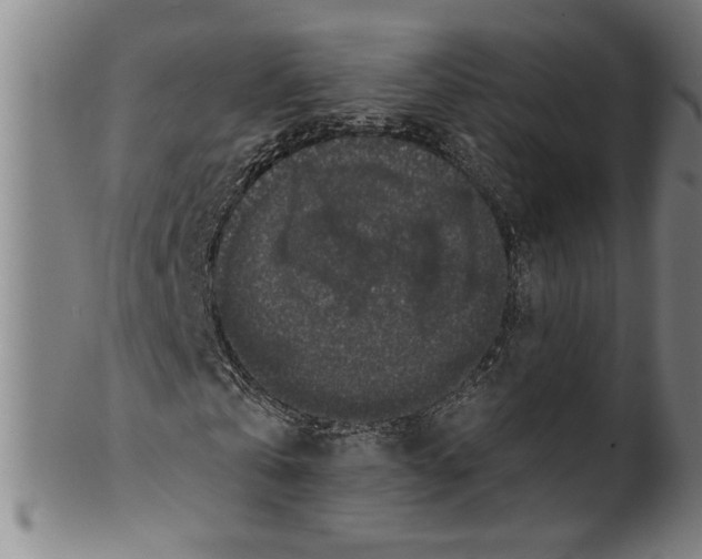 X0000099420769200806060954