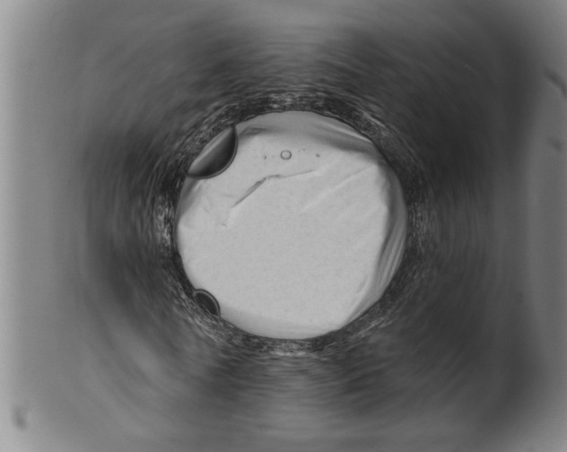 X0000099420770200806060954