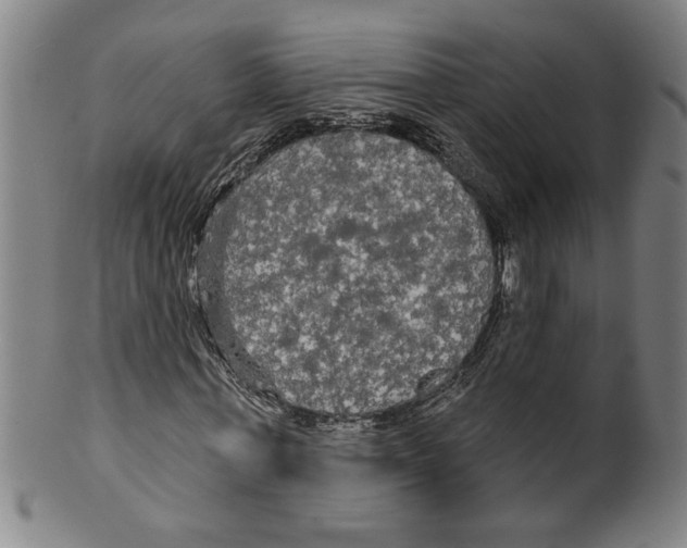 X0000099420771200806060954
