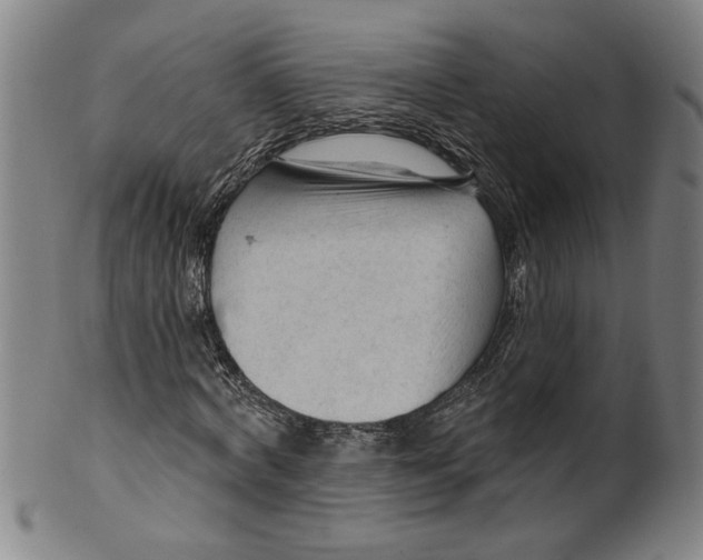 X0000099420772200806060954