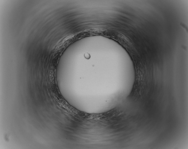 X0000099420773200806060954