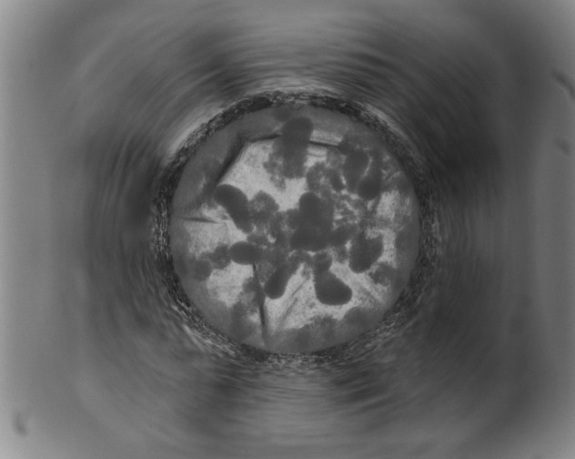 X0000099420775200806060954