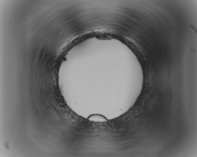 X0000099420776200806060954