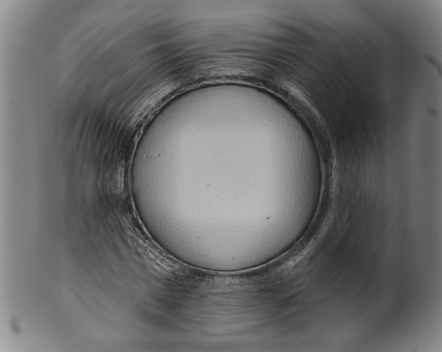 X0000099420777200806060954