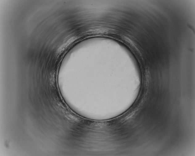 X0000099420778200806060954