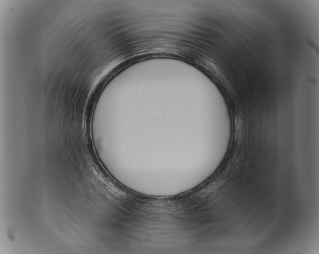 X0000099420780200806060954
