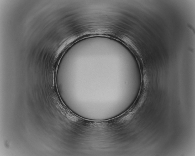 X0000099420781200806060954