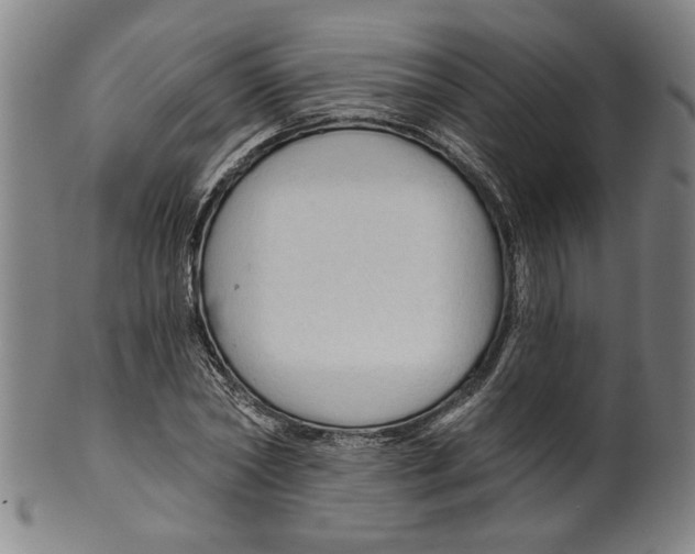 X0000099420782200806060954