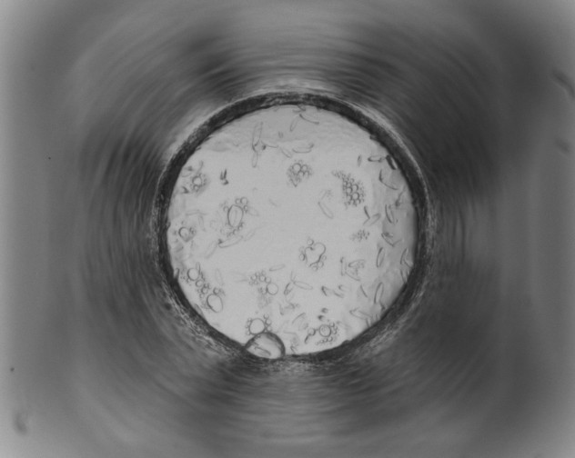 X0000099420783200806060954