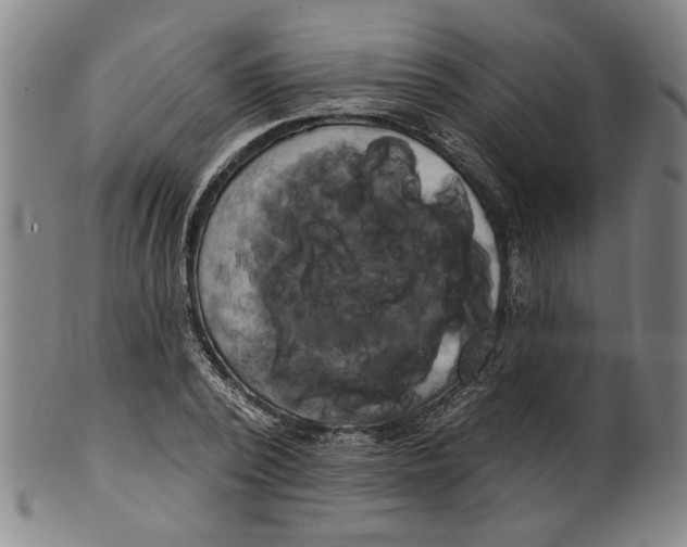 X0000099420784200806060954