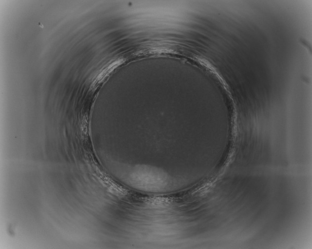 X0000099420785200806060954