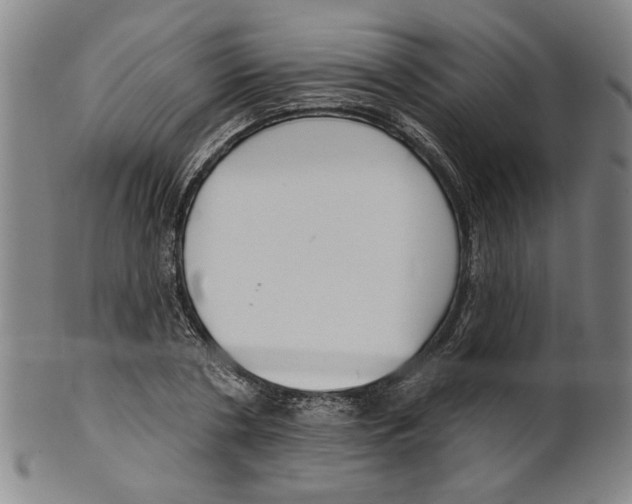 X0000099420786200806060954