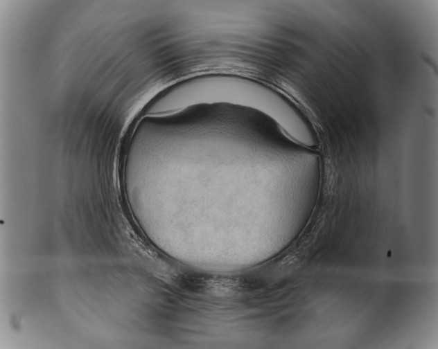 X0000099420788200806060954