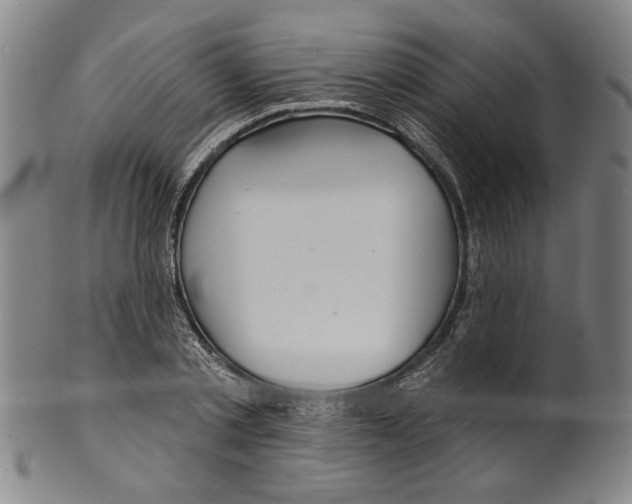 X0000099420789200806060954