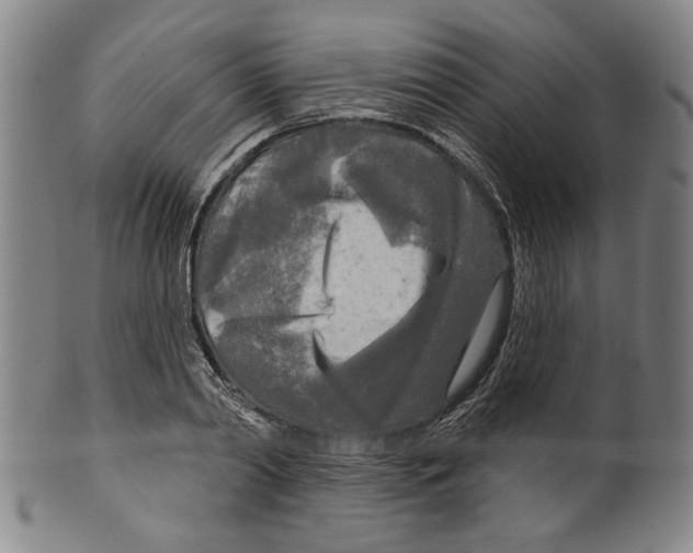 X0000099420790200806060954