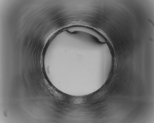 X0000099420791200806060954