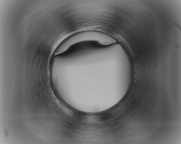 X0000099420792200806060954