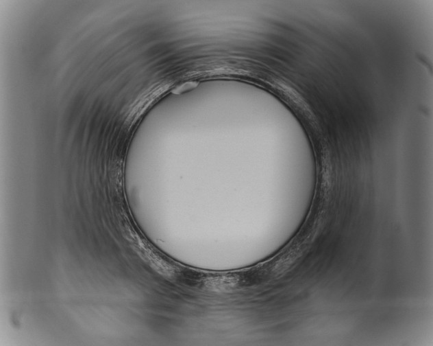 X0000099420793200806060954