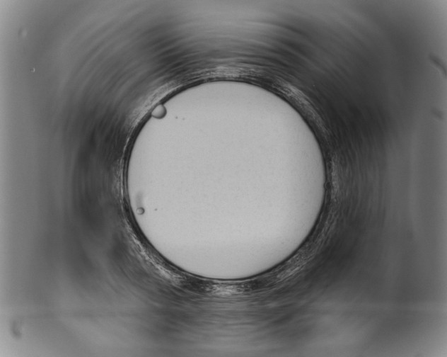 X0000099420794200806060954