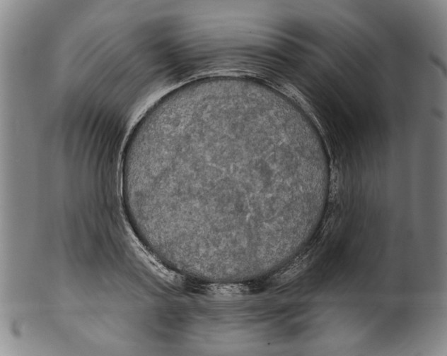 X0000099420795200806060954
