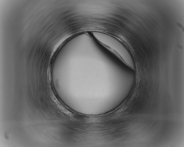 X0000099420796200806060954