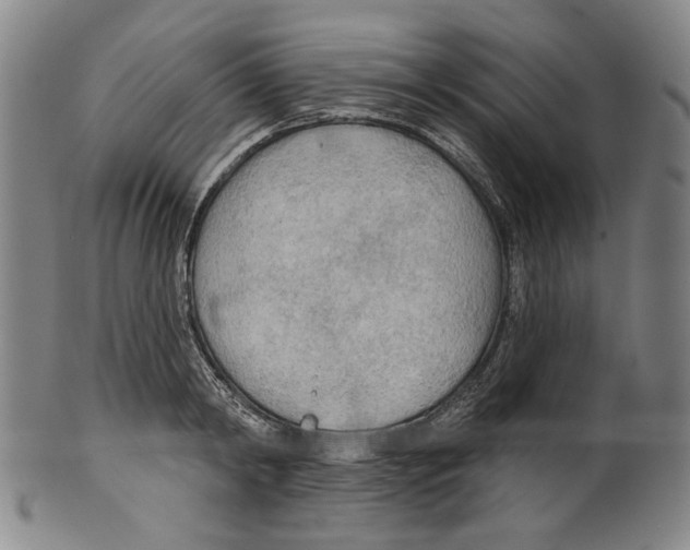 X0000099420798200806060954