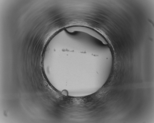 X0000099420799200806060954