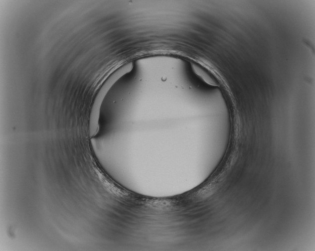 X0000099420801200806060953