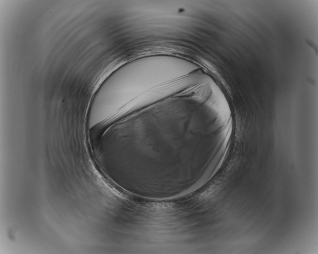X0000099420802200806060953