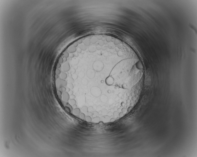 X0000099420803200806060953