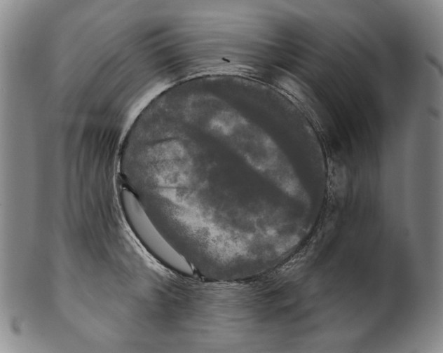 X0000099420804200806060953