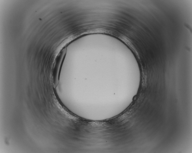 X0000099420805200806060953