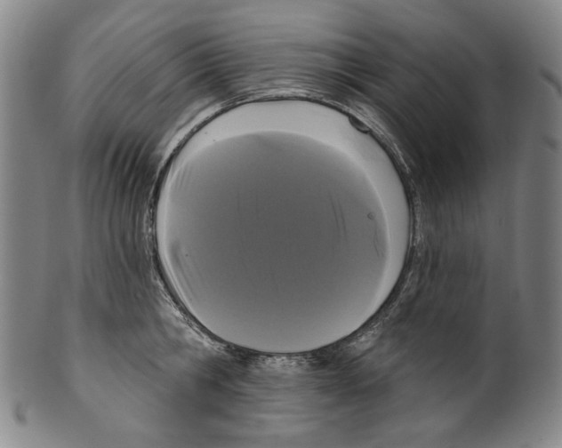 X0000099420806200806060953