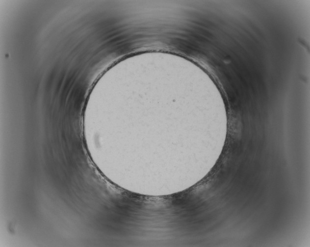 X0000099420807200806060953