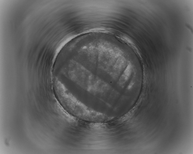 X0000099420808200806060953