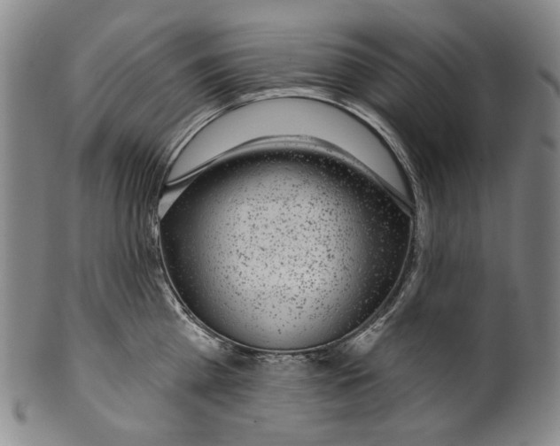 X0000099420809200806060953