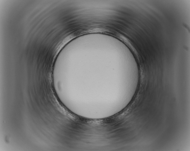 X0000099420810200806060953