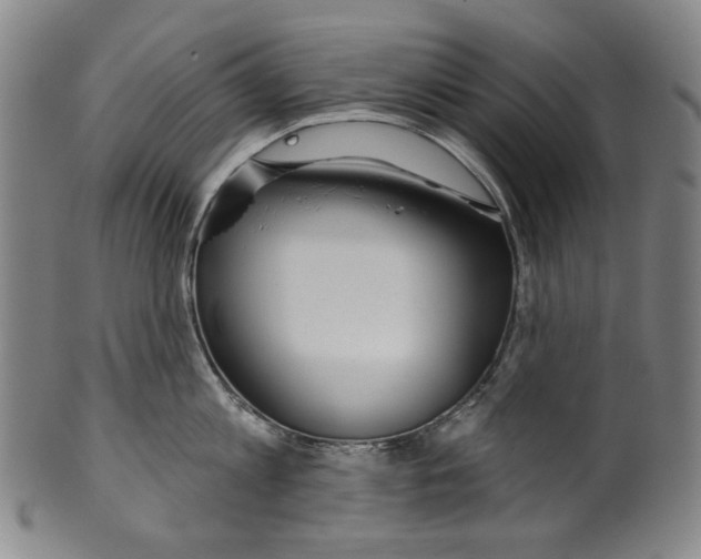 X0000099420813200806060953