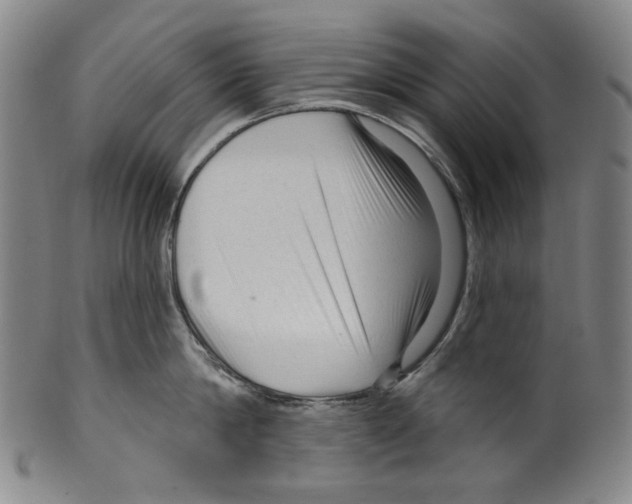 X0000099420814200806060953