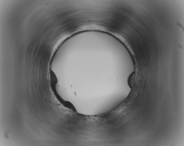 X0000099420815200806060953