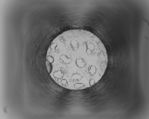 X0000099420817200806060953