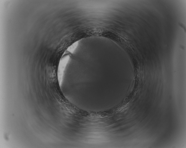 X0000099420818200806060953