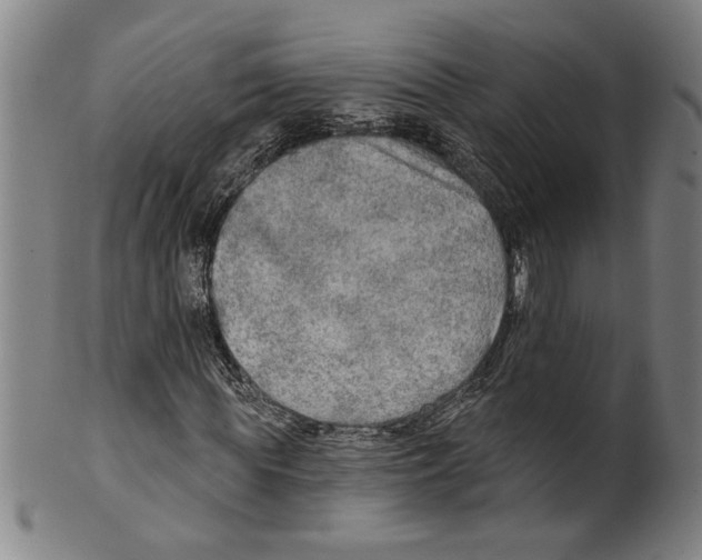 X0000099420819200806060953
