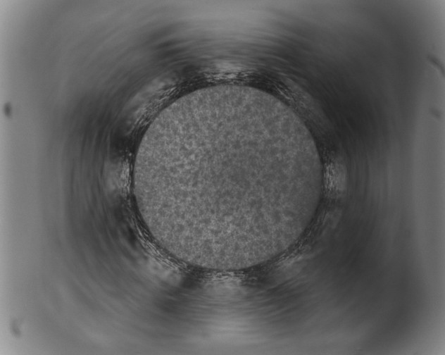 X0000099420820200806060953