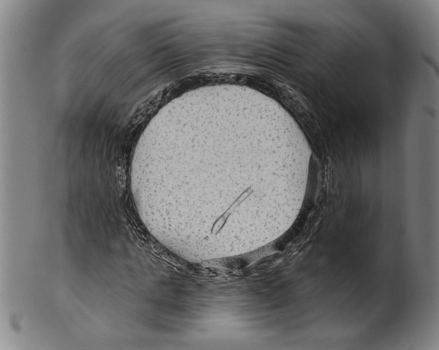 X0000099420821200806060953
