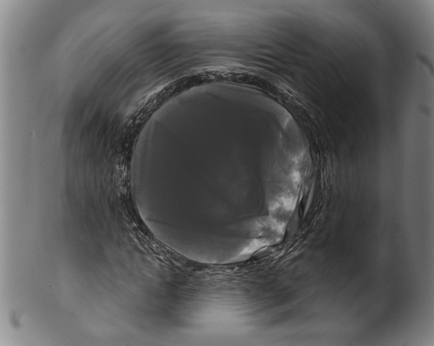 X0000099420822200806060953